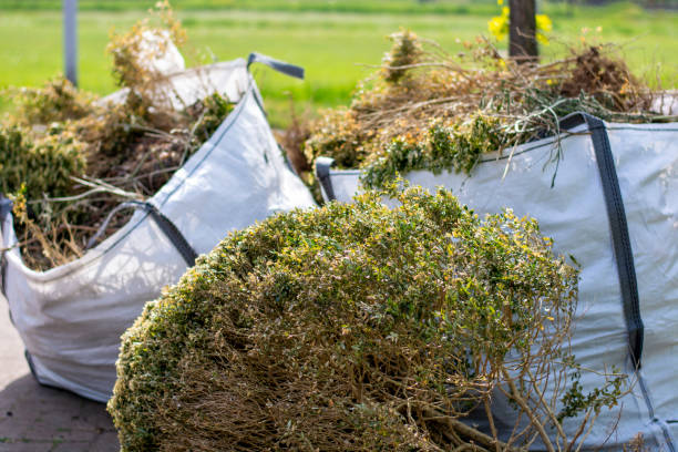 Best Attic Cleanout Services  in Lanai City, HI