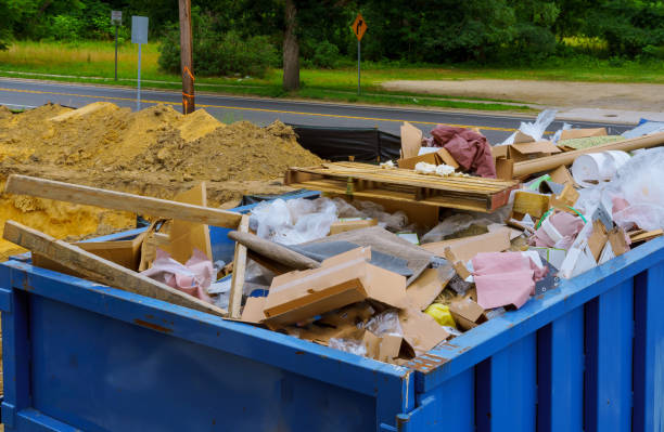 Best Professional Junk Removal  in Lanai City, HI